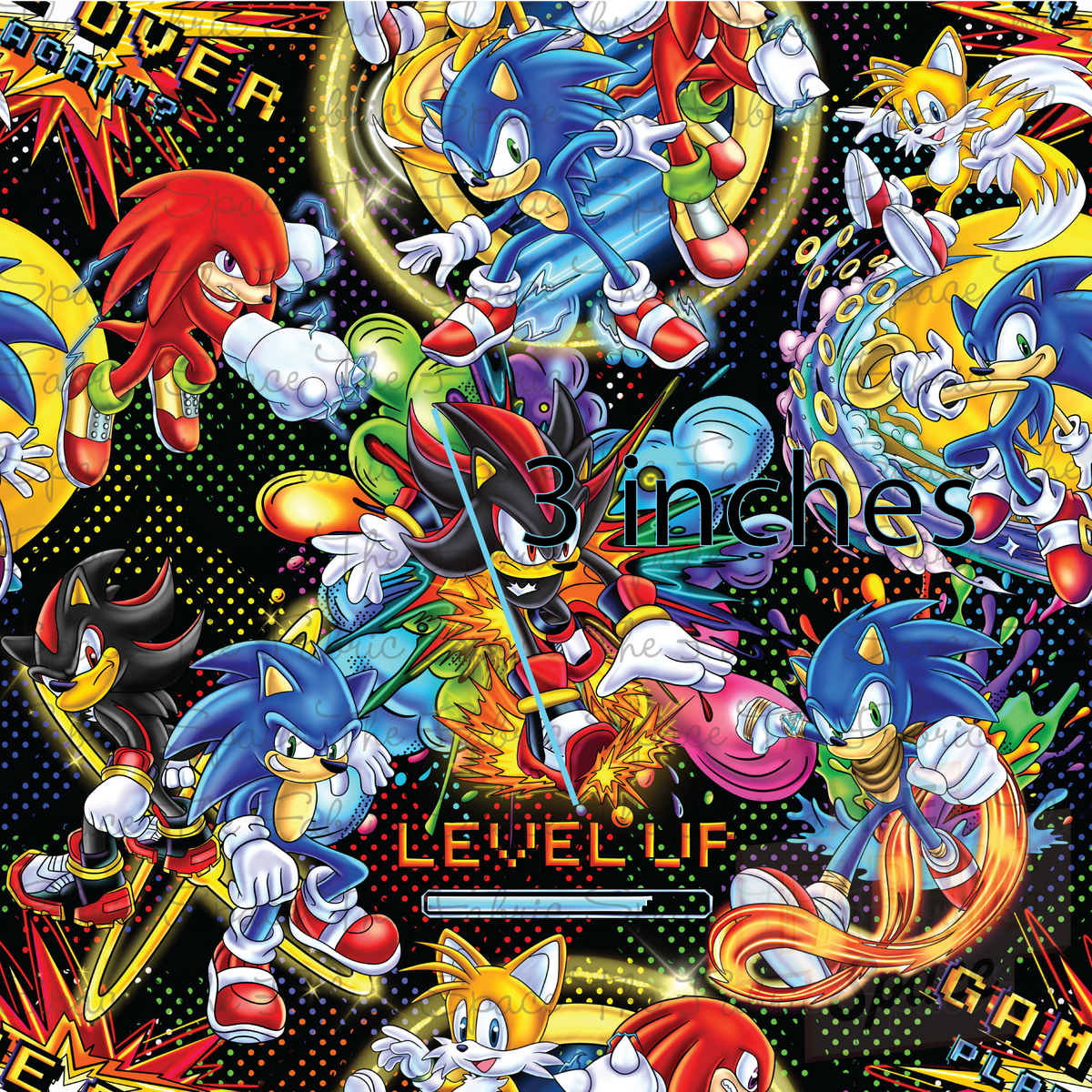 Sonic Level Up 6